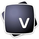 Vectoraster