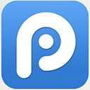 PP