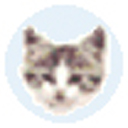 EF File Catalog